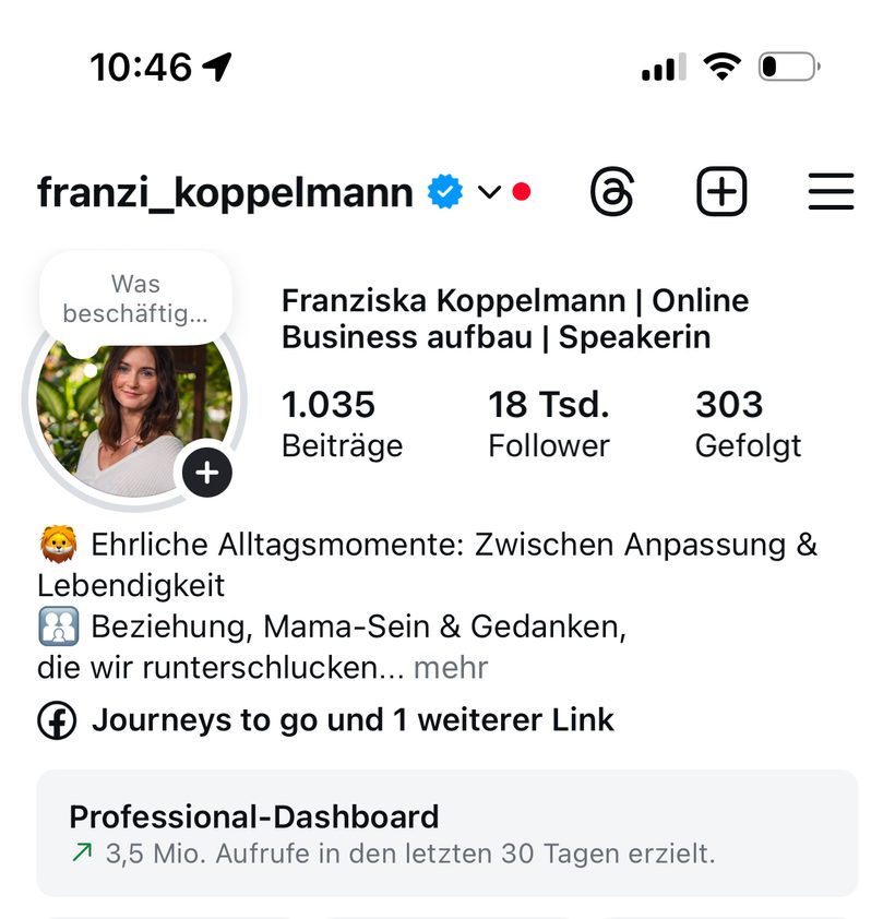 Franzis Instagram später: 18.000 Follower, 3,5 Mio Aufrufe
