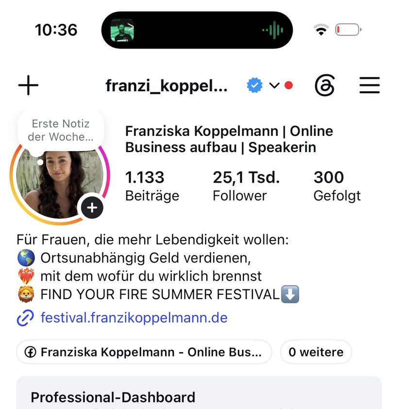 Franzis Instagram heute: 25.100 Follower, Persönlichkeit plus KI